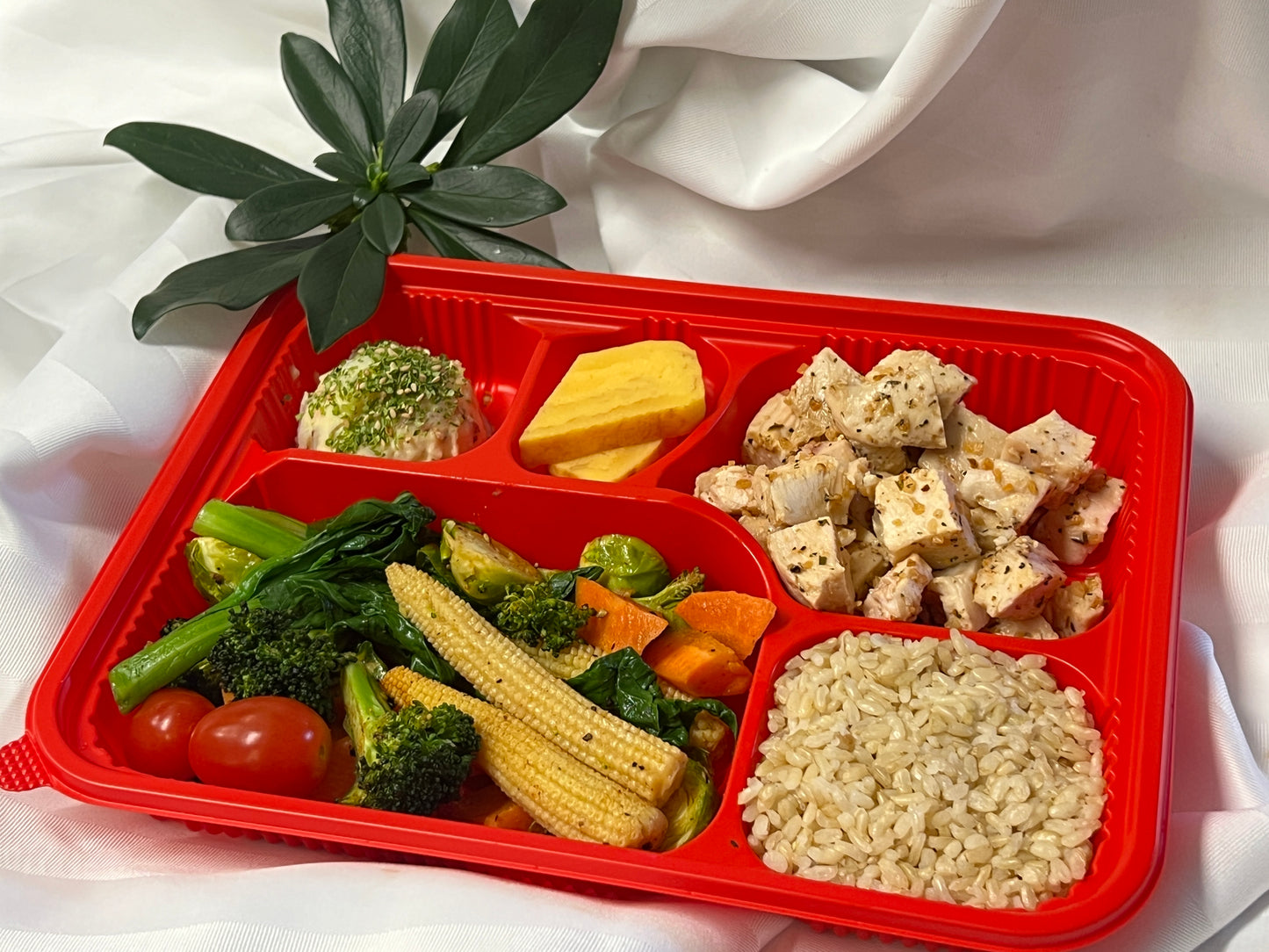 Chicken bento